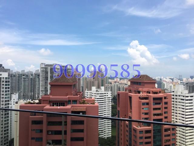OUE Twin Peaks (D9), Condominium #122713062